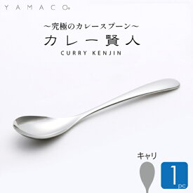 カレースプーン カレー賢人 キャリ 1本 山崎金属工業 燕 カレー専用スプーン 燕三条 YAMACO ヤマコ スプーン ステンレス 日本製