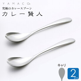 カレースプーン 燕三条 キャリ 2本セット カレー専用スプーン 送料無料 カレー賢人 YAMACO ヤマコ ステンレス 山崎金属工業 カトラリー おしゃれ 日本製 食洗機対応 カトラリーセット スプーン ペア 洋食器