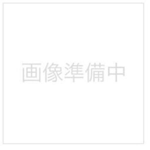紙パック 掃除機 乾湿両用の人気商品 通販 価格比較 価格 Com