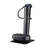 楽天市場】フジ医療器 体幹トレーナー ff－100の通販