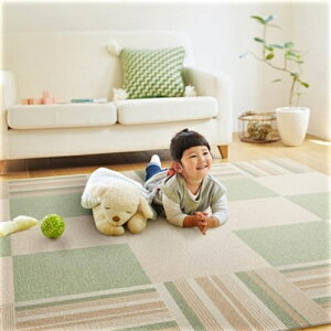 �y�݌Ɍ���z���� �z���^�C���J�[�y�b�g �J�X�^�����O(CTR19)(�o��) �~���g �y40×40�A1���z �����_���X�g���C�v