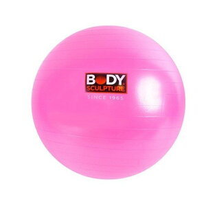 バランスボール バランスボール バランスボードの人気商品 通販 価格比較 価格 Com