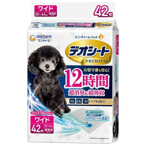 jE`[ fIV[gPremium12ԒL&zCh 42
