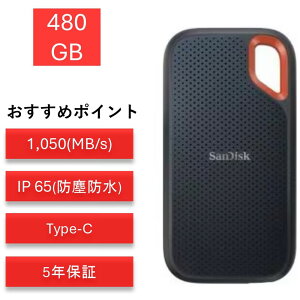 TfBXN GNXg[ 500GB SDSSDE61-500G-J25 |[^uSSD OtSSD