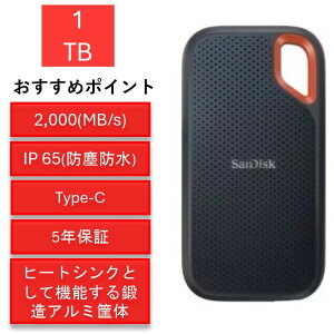 TfBXN GNXg[v 1TB SDSSDE81-1T00-J25 |[^uSSD OtSSD
