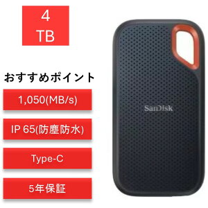 TfBXN GNXg[4TB SDSSDE61-4T00-J25 |[^uSSD OtSSD