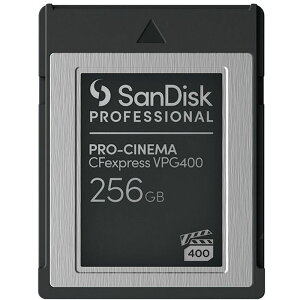 TfBXN PRO-CINEMA CFexpress VPG400Type-BJ[h256GB SDPCVN4-256G-JNANN