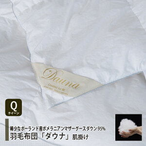 [NC[] ˉƋ Hѕzcu_Ei |^Cvv|[hYzCg}U[O[X_E95 600g DFhCc