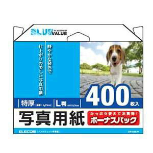 GR YPPG-TL400 ʐ^p