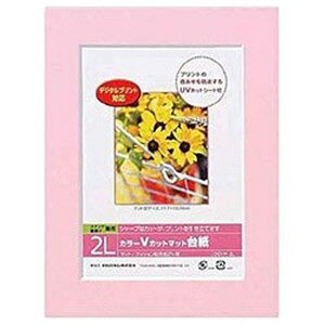 iJoV VJbg}bg䎆 Digio (2L^sN) DGVM-2L-P