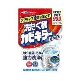 【～4/17までエントリーでポイント最大11倍】ジョンソン アクティブ酸素で落とす洗たく槽カビキラー 250g