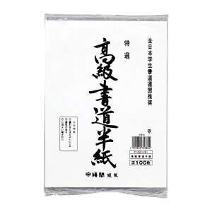 }AC P100n-31  100|