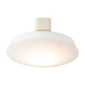 �X���� ACE-150L �h�b�gLED60 �z���C�g