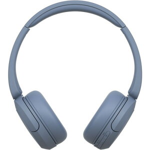 \j[ WH-CH520 L CXXeIwbhZbg u[ WHCH520 L
