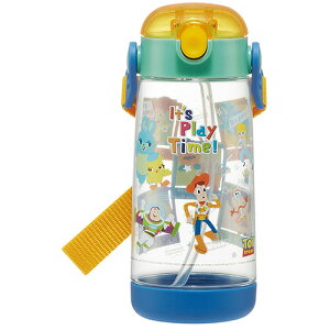 XP[^[ PDSH5 vbVXg[{g gCXg[[23 480ml