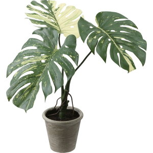 �|�s�[ GLA-1533 GR �����X�e���o���G�K�[�^�z �S��65cm�E ��:��18.5cm×H17cm GLA1533 GR