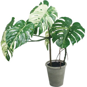 �|�s�[ GLA-1548 GR �����X�e���|�b�g �S��110cm�E��75cm �|�b�g��24cm×H26cm �O���[�� GLA1548 GR