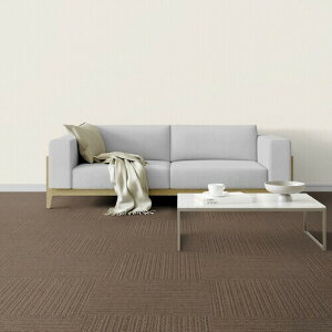 ���� �g�I�� �j���[�s�^�R40NP404 �u���E��(12���^�P�[�X�j ��:40cm���s:40cm BR