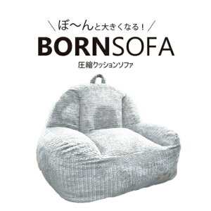 1lpNbV\t@ BORNSOFA RC-101^SILVERGRAY {[\t@ zVo[O[ kNbV\t@