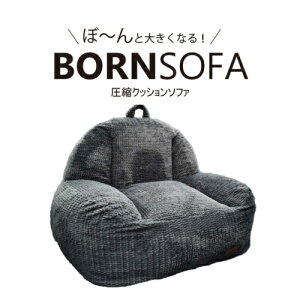 1�l�p�N�b�V�����\�t�@ BORNSOFA RC-101�^SCOTTISH �{�[���\�t�@ �z�X�R�e�B�V�� ���k�N�b�V�����\�t�@