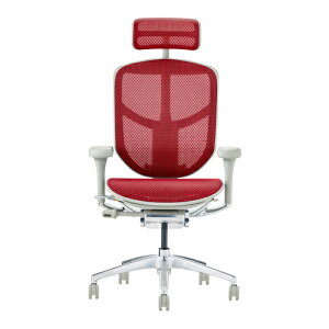 Ergohuman Enjoy2 GSq[} GWC2 EJ2-HAM-GF-RD O[t[×bhbV nCobN