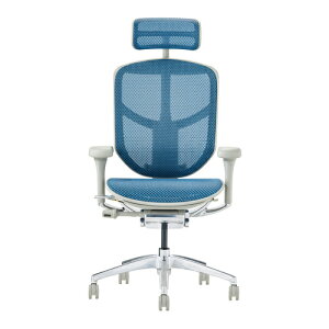 Ergohuman Enjoy2 GSq[} GWC2 EJ2-HAM-BF-BK O[t[×u[bV nCobN