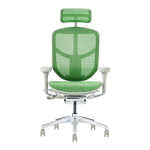 Ergohuman Enjoy2 GSq[} GWC2 EJ2-HAM-BF-BK O[t[×O[bV nCobN