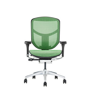 Ergohuman Enjoy2 GSq[} GWC2 EJ2-LAM-BF-GN ubNt[×O[bV [obN