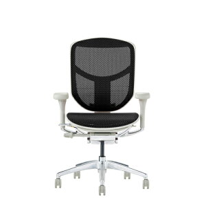 Ergohuman Enjoy2 GSq[} GWC2 EJ2-LAM-GF-BK O[t[×ubNbV [obN