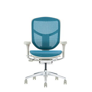 Ergohuman Enjoy2 GSq[} GWC2 EJ2-LAM-GF-BL O[t[×u[bV [obN