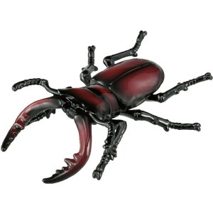 ^Jg~[ AjA AS|43 mRMNK^