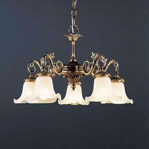 ˉƋ BRA-1419^5 VfA 6`8p vʔ