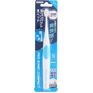 }}HBDH310BL v\jbNRpNg gUuV u[