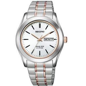 �V�`�Y�� KM1-237-91 REGUNO �\�[���[�e�b�N �X�^���_�[�h�V���[�Y �����O�\�[���[ �\�[���[���f��