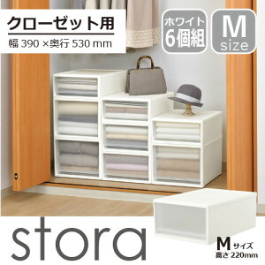 yZbgz6g [P[X vX`bN N[[bgp Xg53 MTCY zCg o[39×s53×22cm] JEJAXe[W