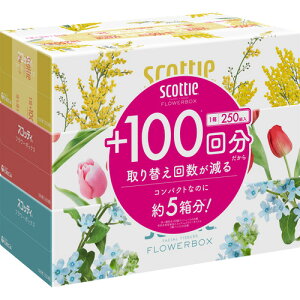 {NVA XRbeBeBV[ t[{bNX 250g 3pbN