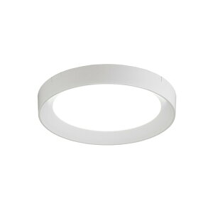 �A�C���X�I�[���} SCL150D-DU LED���^���^�V�[�����O���C�g 1500lm�i�����F�j �z���C�g