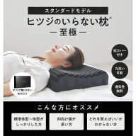 【カバー付】ヒツジのいらない枕 -至極- BK HT-001 MOON-X Japan 羊
