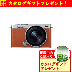 yԌMtgv[gzpi\jbN DC-S9N-D S9 LpY[YLbg ~[XJ LUMIX LIW