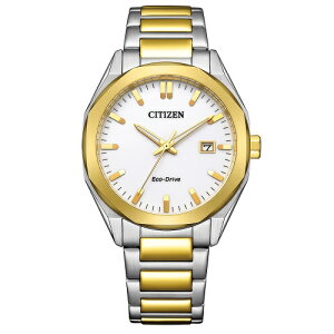 �V�`�Y�� BM7624-82A CITIZEN COLLECTION �G�R�E�h���C�u 10�C���h�� �\�[���[���f��