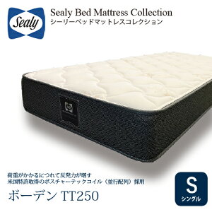 [VO] Sealy V[[ }bgX S{[fTT250 25cm  |X`[ebNRC