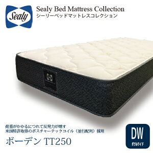 [_uCh] Sealy V[[ }bgX DW{[fTT250 25cm  |X`[ebNRC