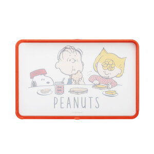 XP[^[ RۗʃK[ht܂Ȕ Xk[s[ KTMT1AG