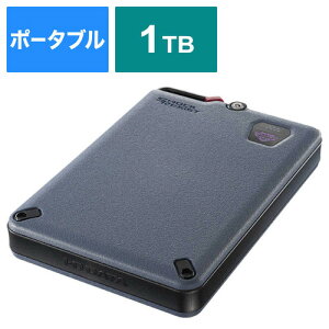 IOf[^ SSPD-SUTC1 OtSSD BizDAS 1TB |[^u^ ubN