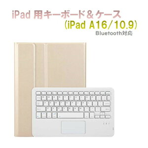 RM RM2290GD iPad 1010.9C`pJ[L[{[htJ[P[X S[h