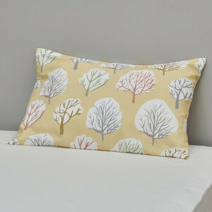  Jo[OX^WI s[P[X CT4001 65×45cm x[W n