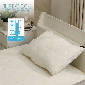 y݌ɌzJUSTN[pbh 60x50cm AC{[ ⊴ ĕQ Ђ