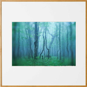 M-AGY-A4SQ-NA PR[ M[ A4XNGA i` AGY-A4SQ-NA