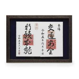 SVC`EPS-GS-S-BR PR[ 󒠃fBXvCt[ S (A4) uE PSGSS