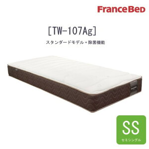 [Z~VO] tXxbh }bgX TW-107AGSS 24cm